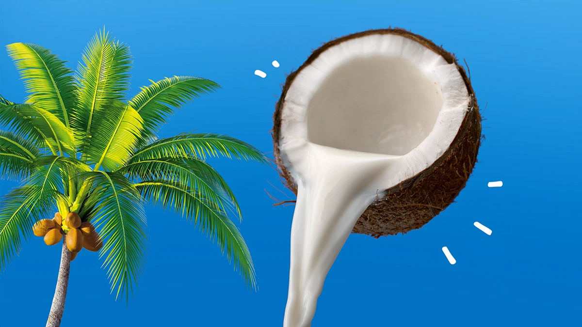 Koko Dairy Free campaign thumbnail